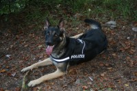 /album/austria-blog/zwerchlochtour-016-jpg/